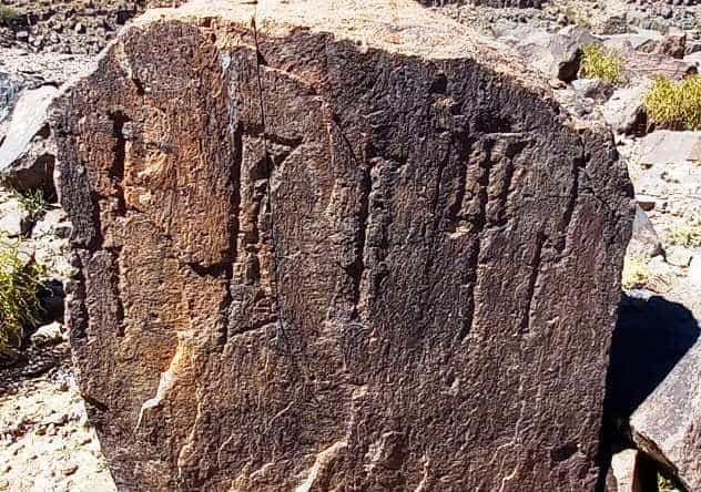 الشرعي الدار 6